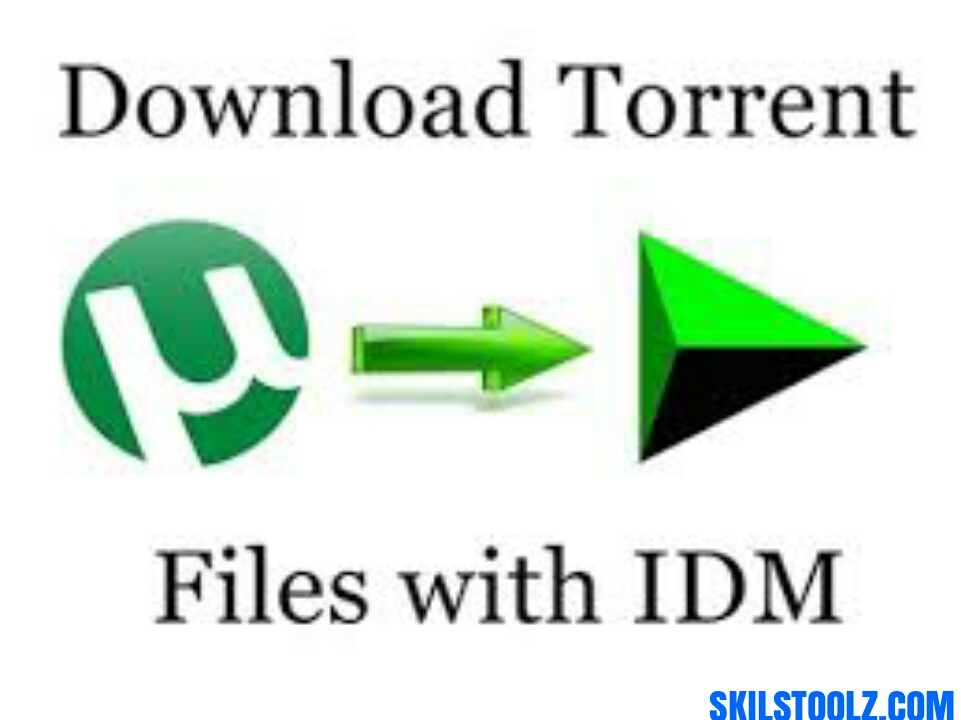 Download Manager That Can Download Torrent Files
